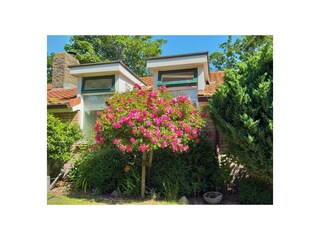 Casa per le vacanze Hollum Ambiente 10