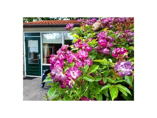 Casa per le vacanze Hollum Ambiente 12