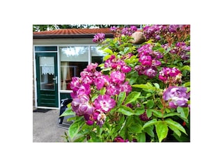 Ferienhaus Hollum Umgebung 12