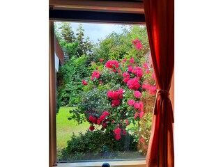 Vakantiehuis Hollum Buitenaudio-opname 7