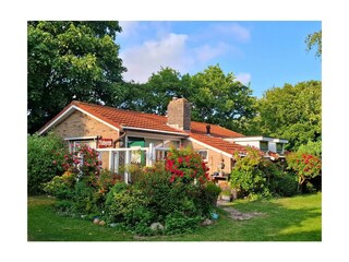 Casa per le vacanze Hollum Registrazione all'aperto 2