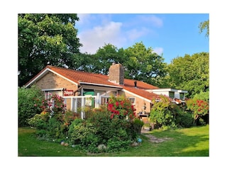 Vakantiehuis Hollum Buitenaudio-opname 2