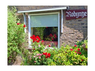 Casa per le vacanze Hollum Registrazione all'aperto 16