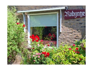 Vakantiehuis Hollum Buitenaudio-opname 16