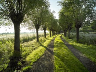Vakantiehuis Munnekeburen Buitenaudio-opname 3