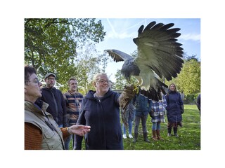 Vakantiehuis Munnekeburen Omgeving 35