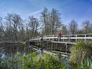 Vakantiehuis Munnekeburen Omgeving 36