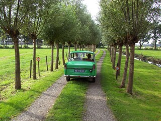 Vakantiehuis Munnekeburen Omgeving 33