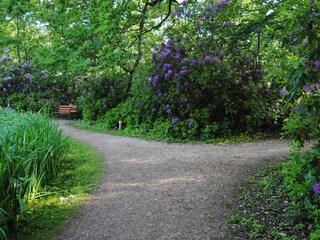 Casa per le vacanze Oostkapelle Ambiente 13