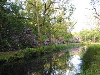 Casa per le vacanze Oostkapelle Ambiente 14