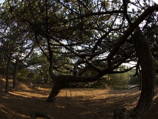 Appartamento per vacanze Kampen Ambiente 24