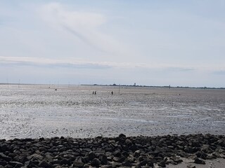 Dockkoog in Husum bei Ebbe (im Hintergrund: Nordstrand)