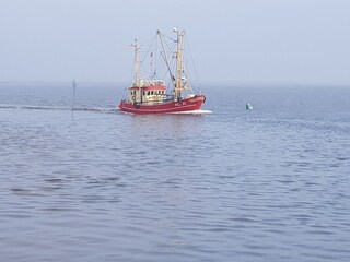 Holiday apartment Hattstedt Environment 33