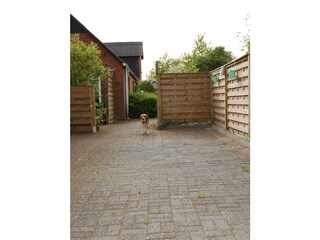 Your parking space (...that's Eddie, our beagle...)