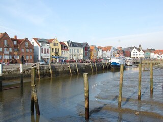 Holiday apartment Hattstedt Environment 25