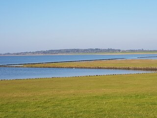 Holiday apartment Hattstedt Environment 26