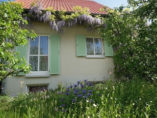 Holiday apartment Schönfeld-Weißig Outdoor Recording 5