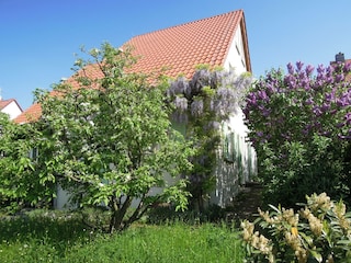 Holiday apartment Schönfeld-Weißig Outdoor Recording 6