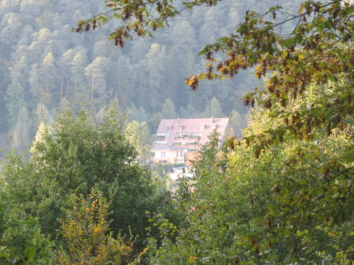 Blick auf das Haus