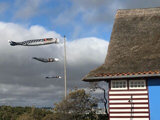 Apartamento de vacaciones Heiligenhafen Grabación al aire libre 7