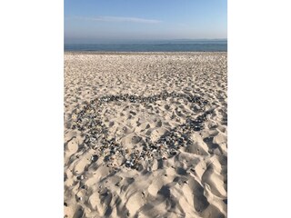 Appartement de vacances Heiligenhafen Environnement 38