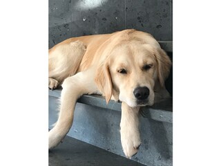 Appartement de vacances Heiligenhafen Équipement 26