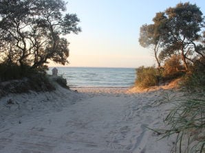 Ferienwohnung Sonnenschein - Dassow - image1