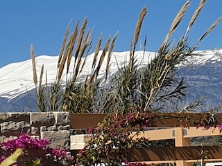 Villa Vouno - Garten Panorama