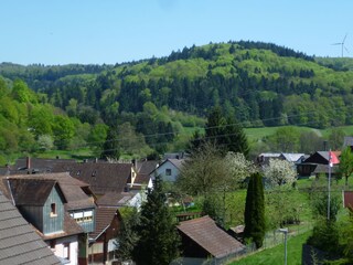 Der Ausblick vom Haus zu dem angrenzenden Naturpark