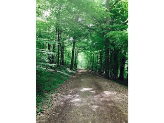 Einer der typischen Wanderwege direkt hnterm Haus