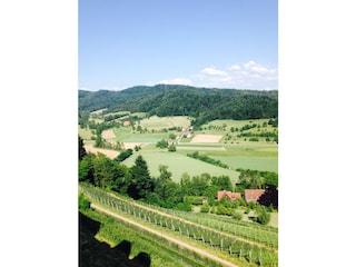 Aussicht von derHOCHKÖNIGSBURG ZU EMMENDINGEN