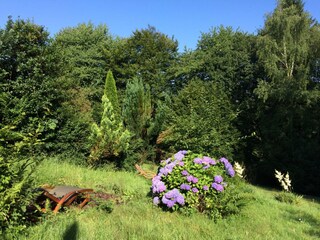 Erholen Sie sich in der Natur