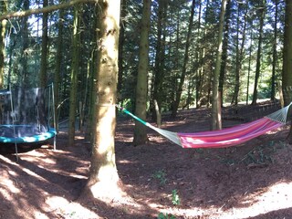 Hängematte und Trampolin im Tannanwald