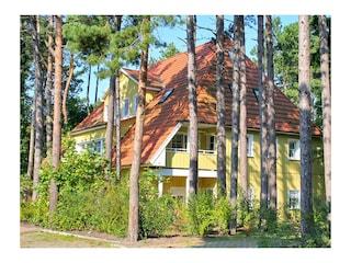 das Haus in der Waldsiedlung
