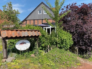 Mittlerweile eingewachsener Garten