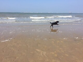 Casa per le vacanze Breskens Ambiente 16