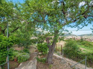 Finca Sóller Buitenaudio-opname 17