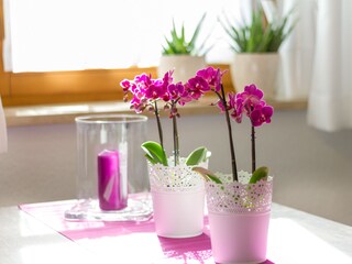 Appartamento per vacanze Oberstdorf Caratteristiche 15