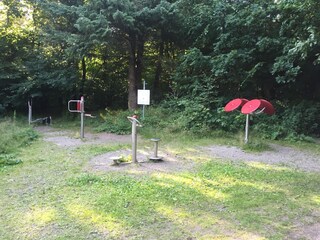 fitness parcours in the small forest near by