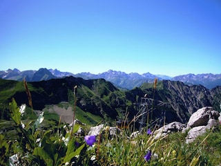 Blick vom Nebelhorn