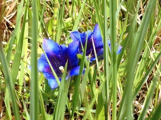 Appartamento per vacanze Oberstdorf Ambiente 11