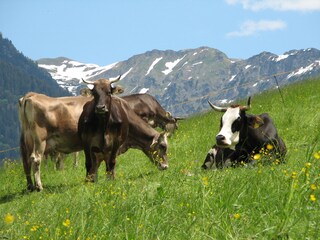 Appartamento per vacanze Fischen im Allgäu Ambiente 17