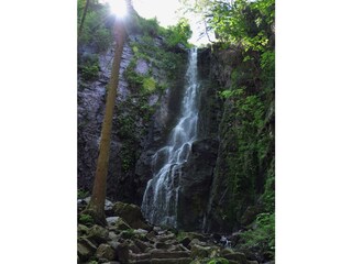 Wasserfall Bad Rippoldsau