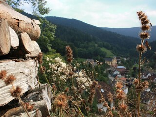 Appartamento per vacanze Bad Rippoldsau Ambiente 16