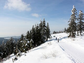 Wintersport in der Umgebung von Haus Armbruster