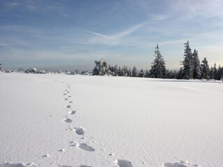 Appartamento per vacanze Bad Rippoldsau Ambiente 19