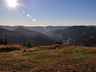 Appartamento per vacanze Bad Rippoldsau Ambiente 20