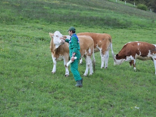 Appartamento per vacanze Villanders Ambiente 10