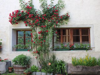 Appartamento per vacanze Villanders Ambiente 19