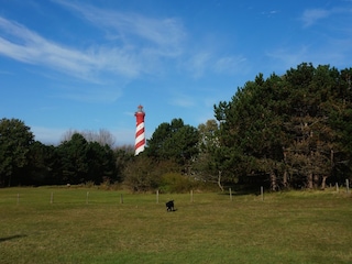 Casa per le vacanze Burgh-Haamstede Ambiente 21
